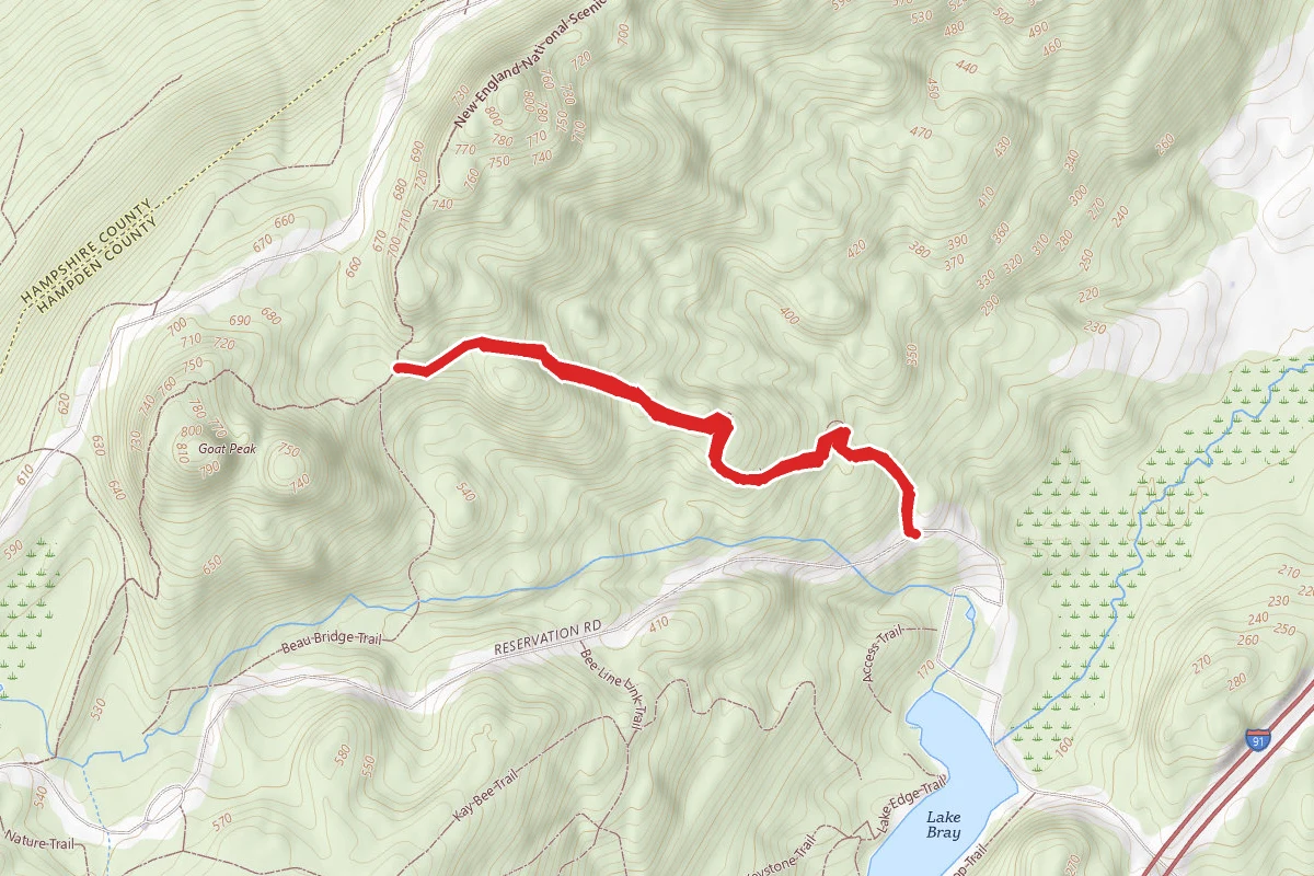 T Bagg Trail