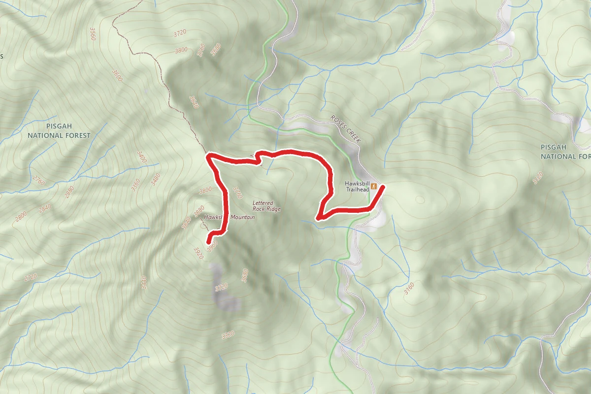 Hawksbill Mountain Trail