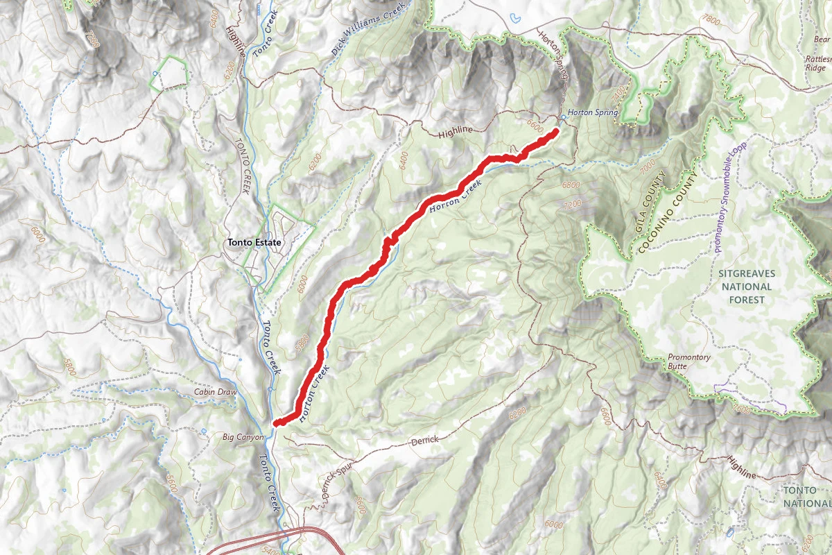 Horton Creek Trail
