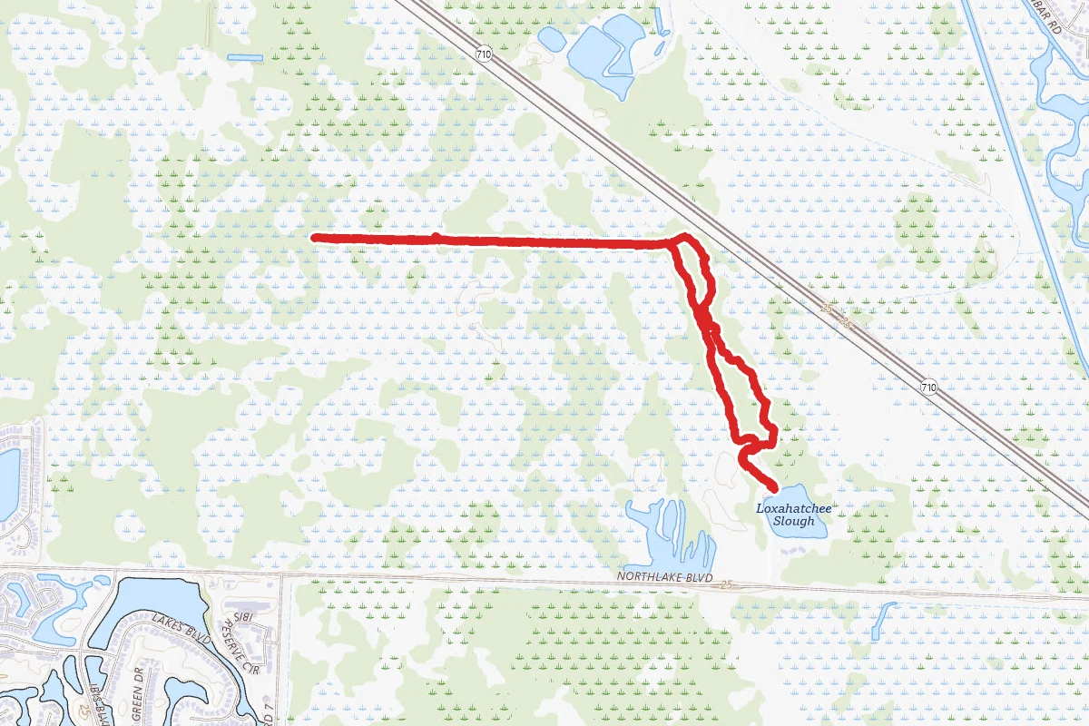 Hog Hammock and Promontory Trail Loop