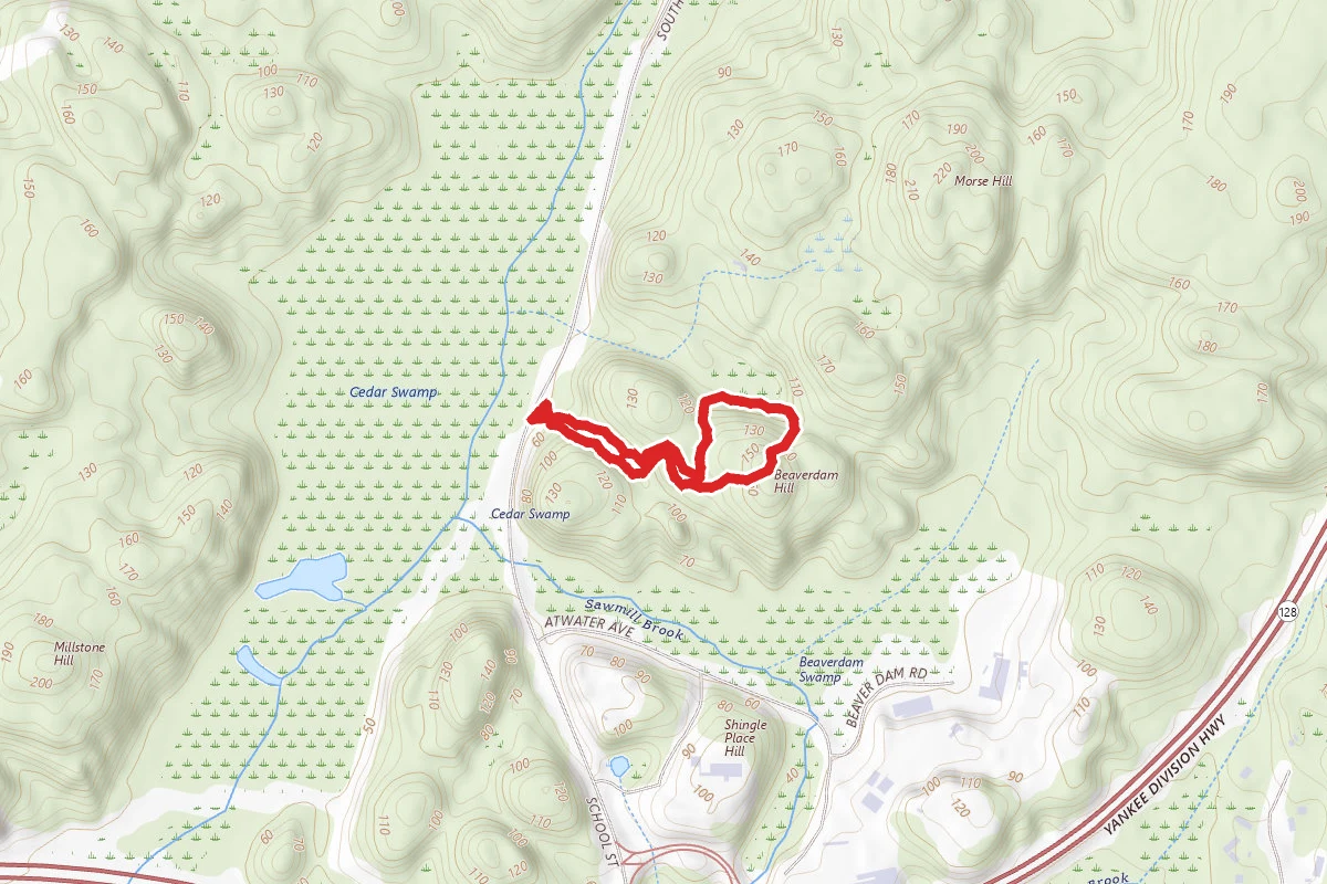 Agassiz Rock Trail