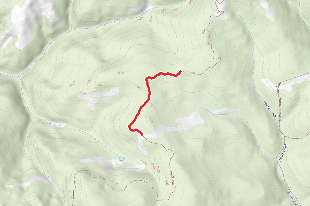 Beall Trail