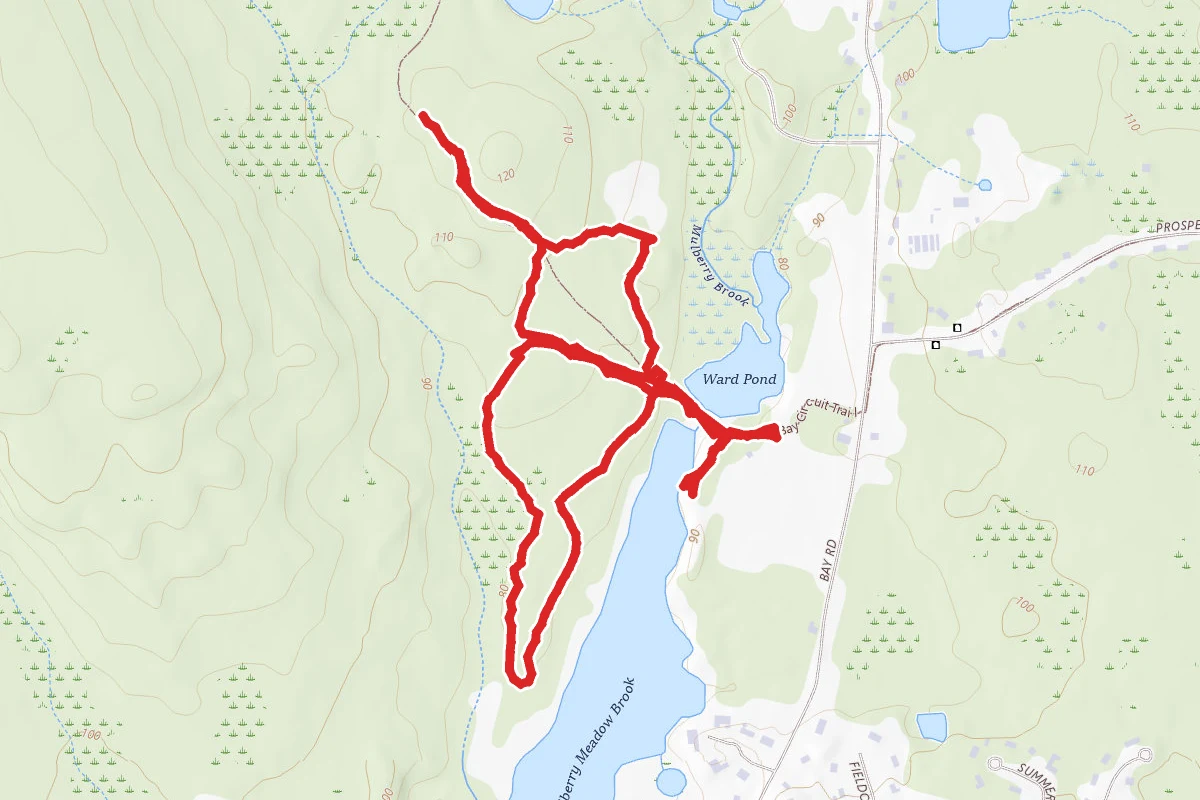 Wheaton Farm Conservation Area Trail