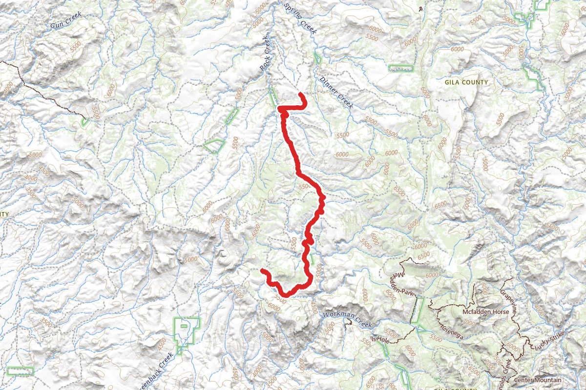 J. R. Ranch (Buzzard Roost)