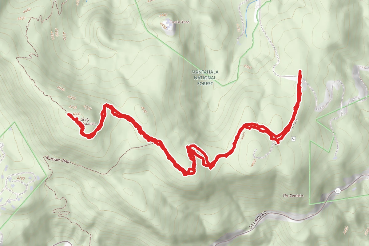 Scaly Mountain Summit Via Hickory Nut