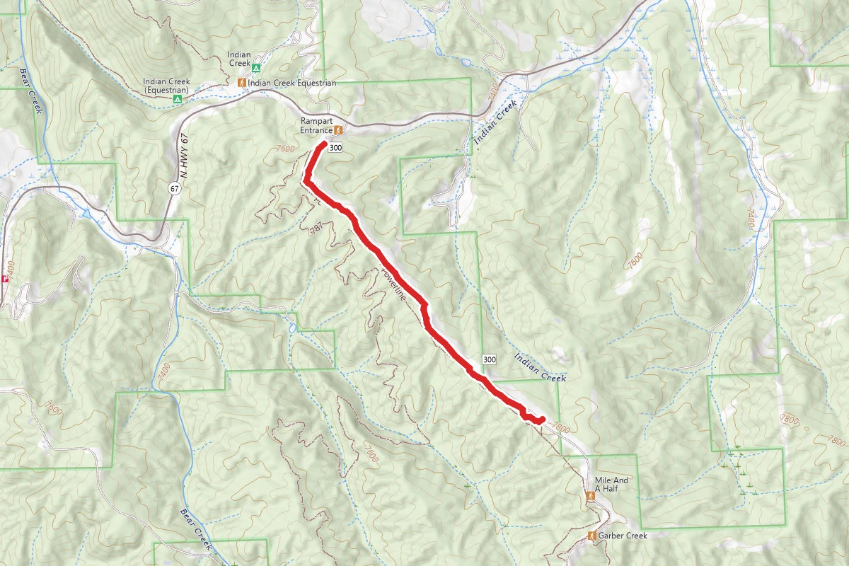 Beginner Trail