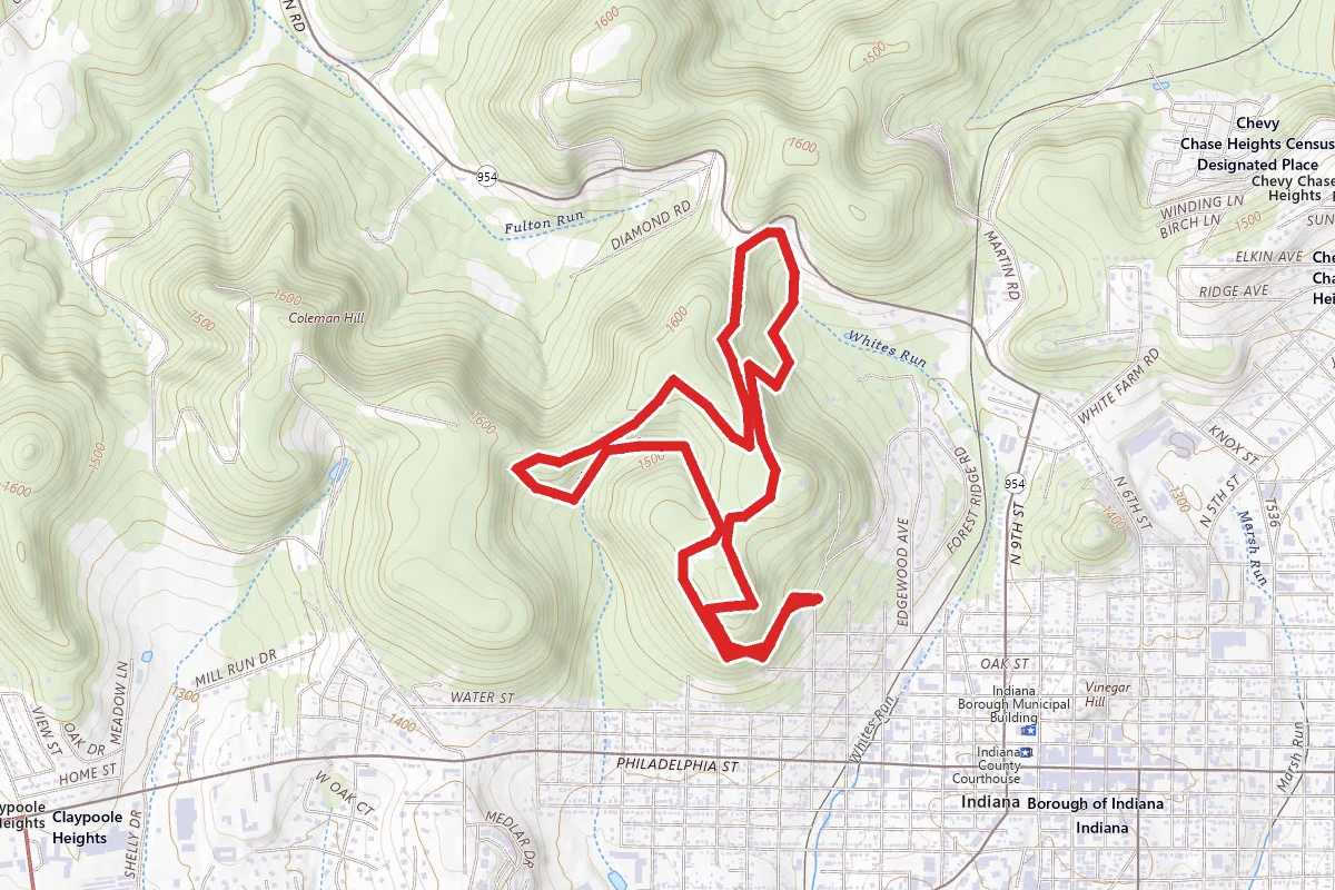 Whites Woods Trails