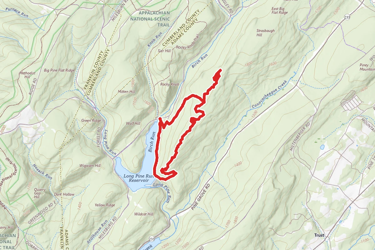 Abigail Trail