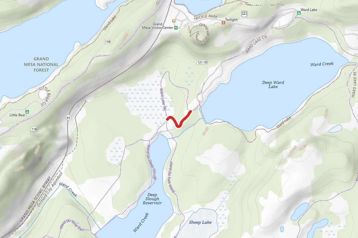 Ward Ski Cut Off