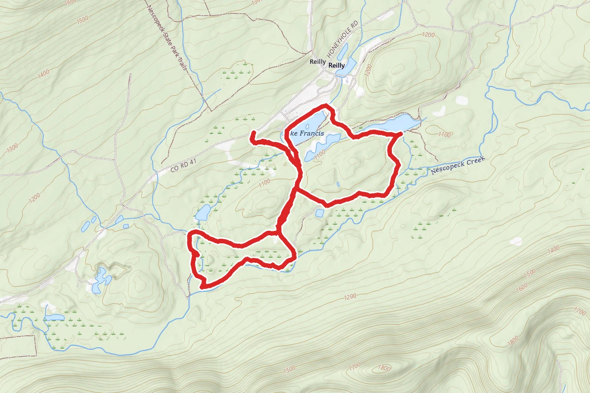 Nescopeck Ponds Loop Trail