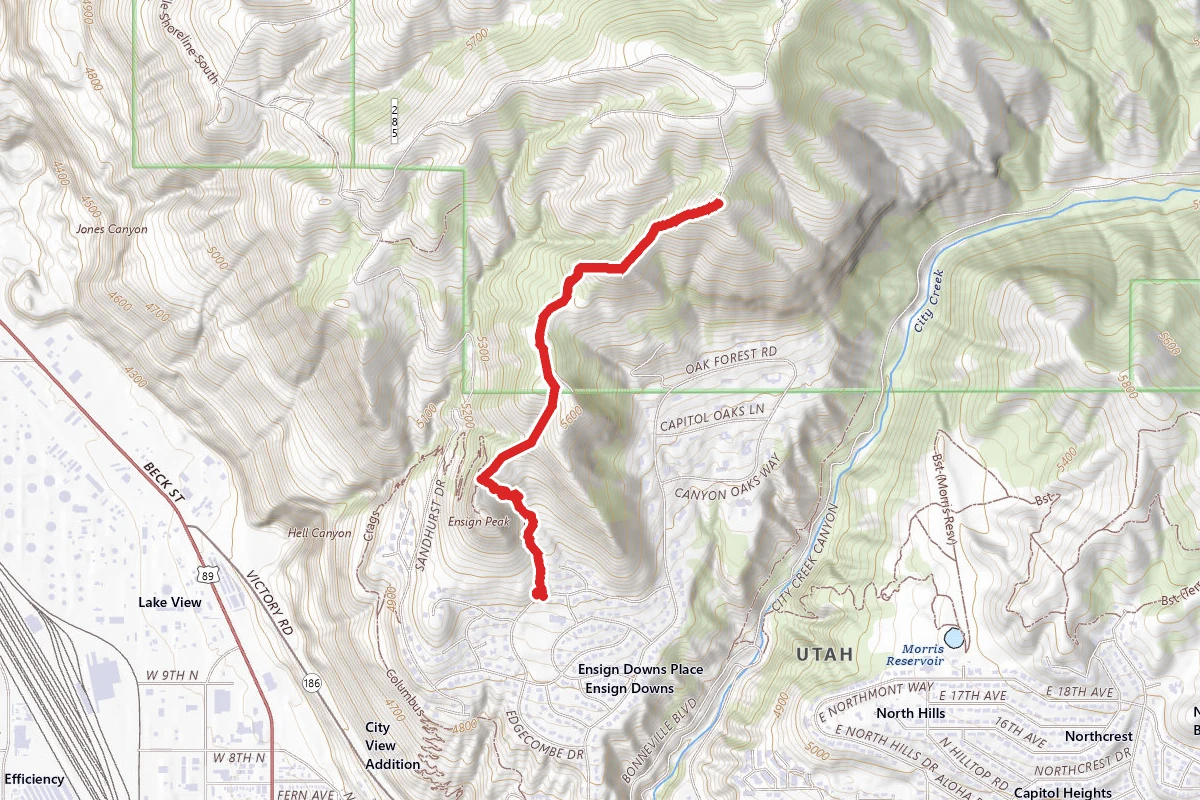 Ensign Ridge Trail