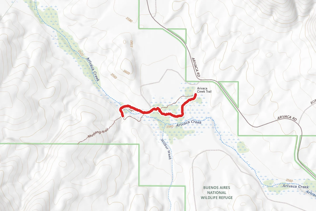 Arivaca Creek Trail