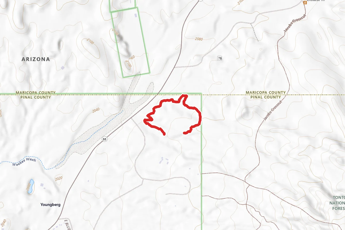 Quail Loop