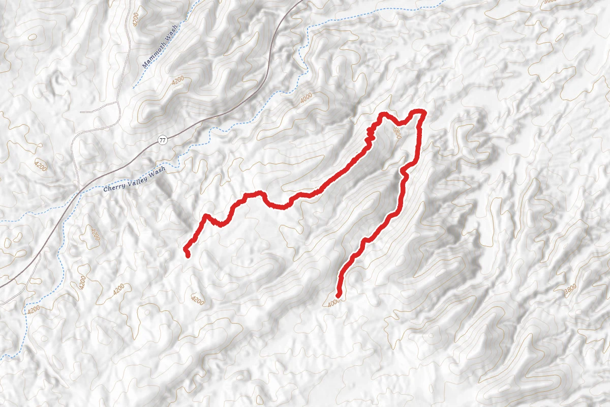 Windmill Loop Trail