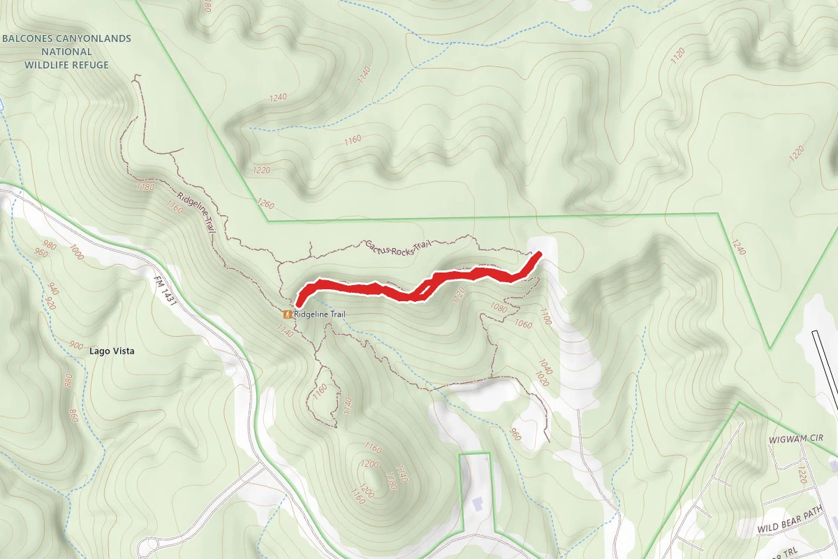 Cactus Rocks Trail