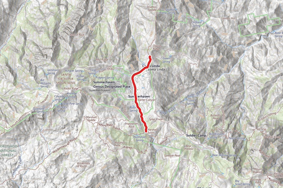 Oracle Ridge