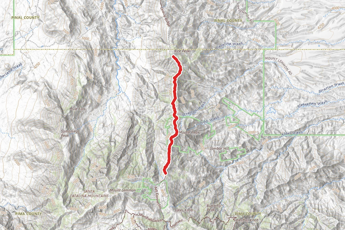 Oracle Ridge