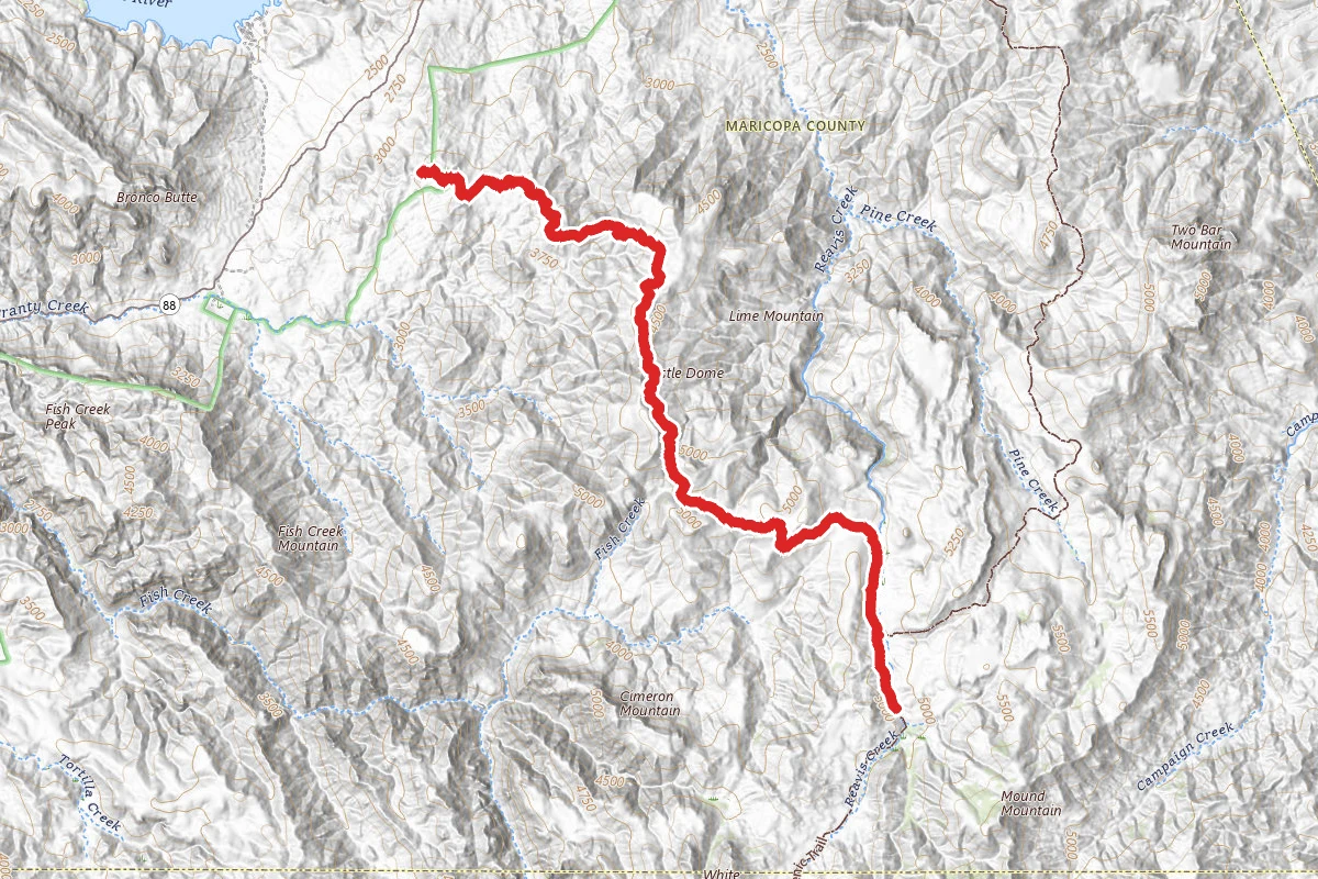 Reavis Ranch Trail