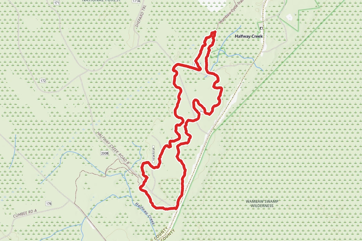 Wambaw Cycle Trail