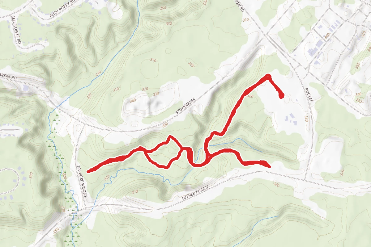 100 Acre Wood Red, White, Blue, Green and Purple Trail