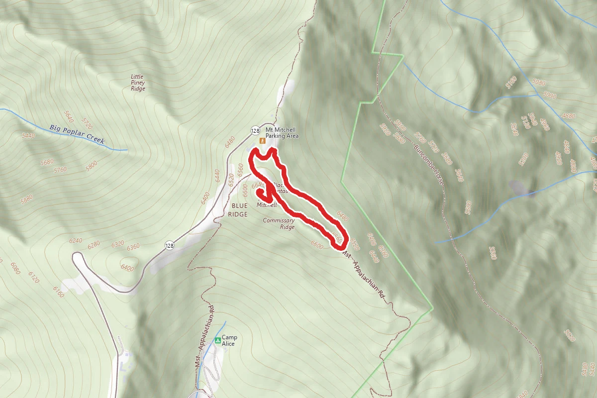 Balsam Nature Trail to Mount Mitchell