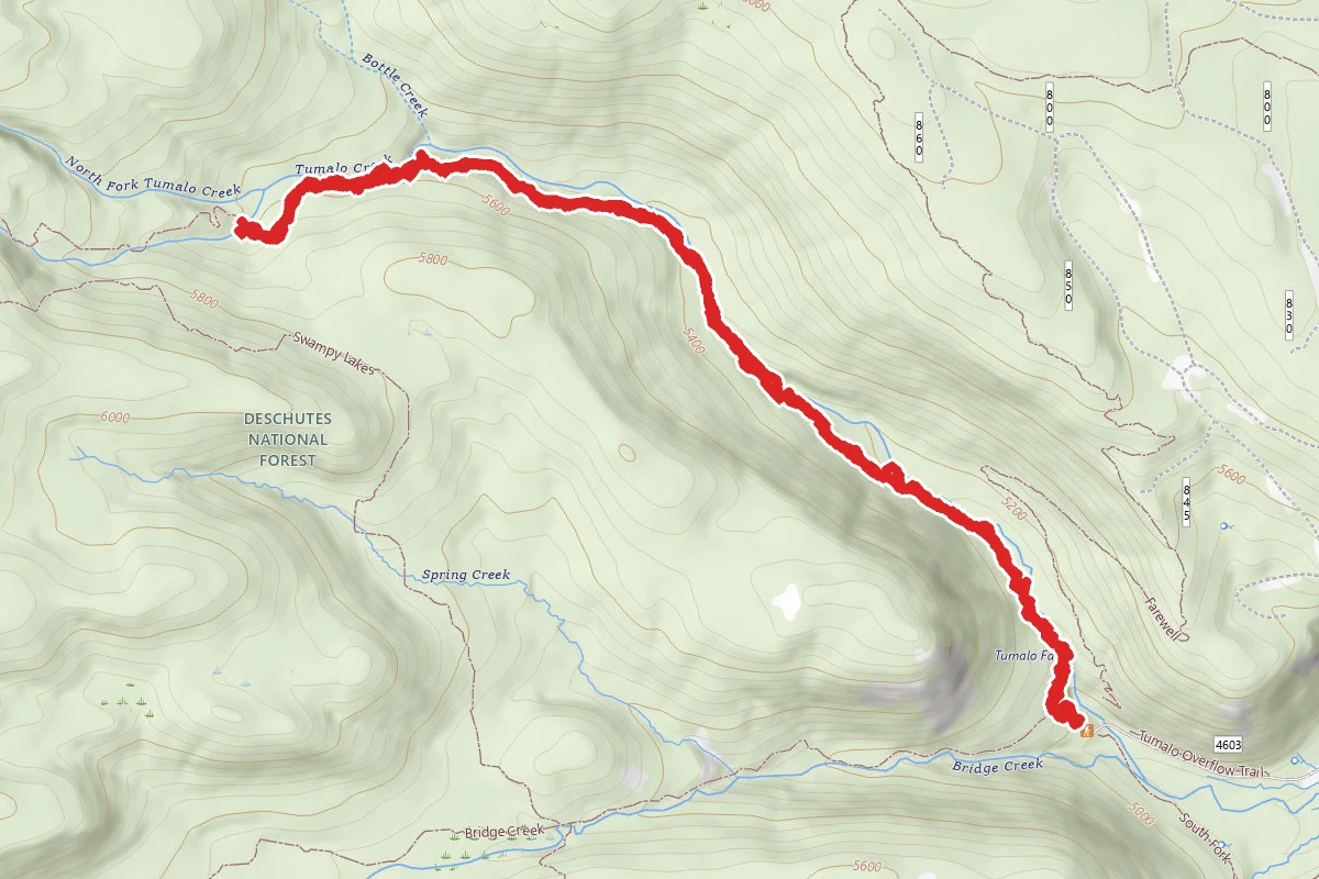 Tumalo Creek Falls via North Fork Trail #24.2
