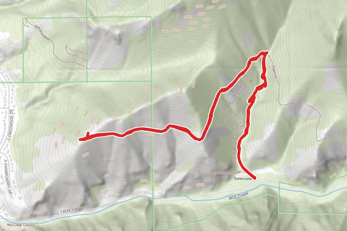 Rattlesnake Gulch Trail