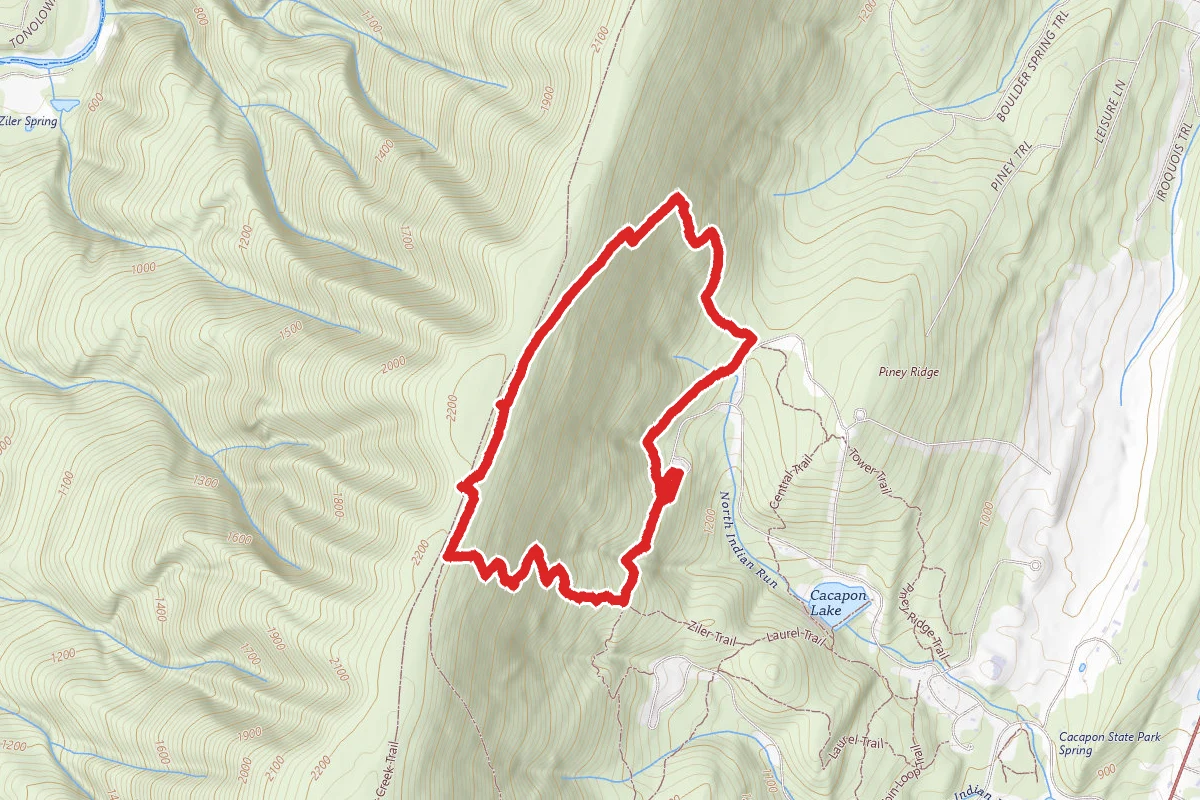 Ziler Trail