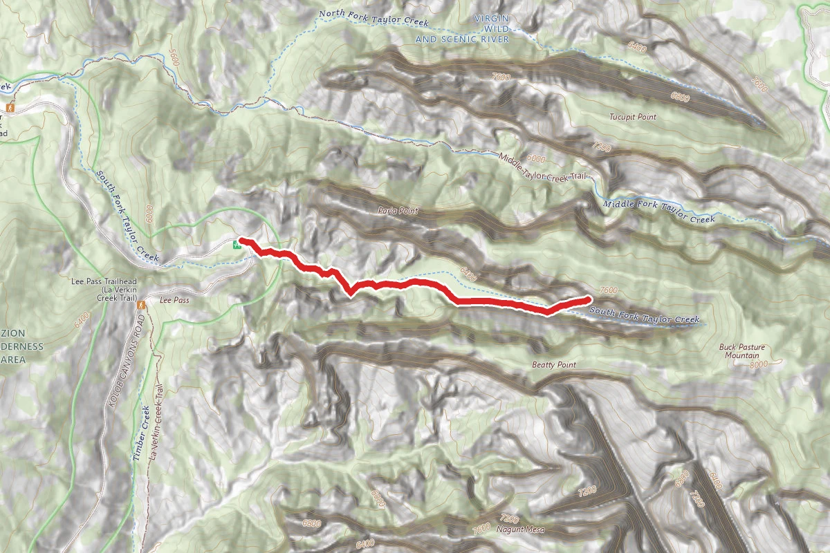 South Fork Taylor Creek Trail