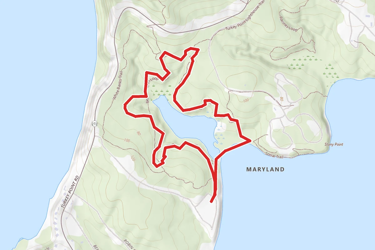 Beaver Marsh Trail (Orange Trail)