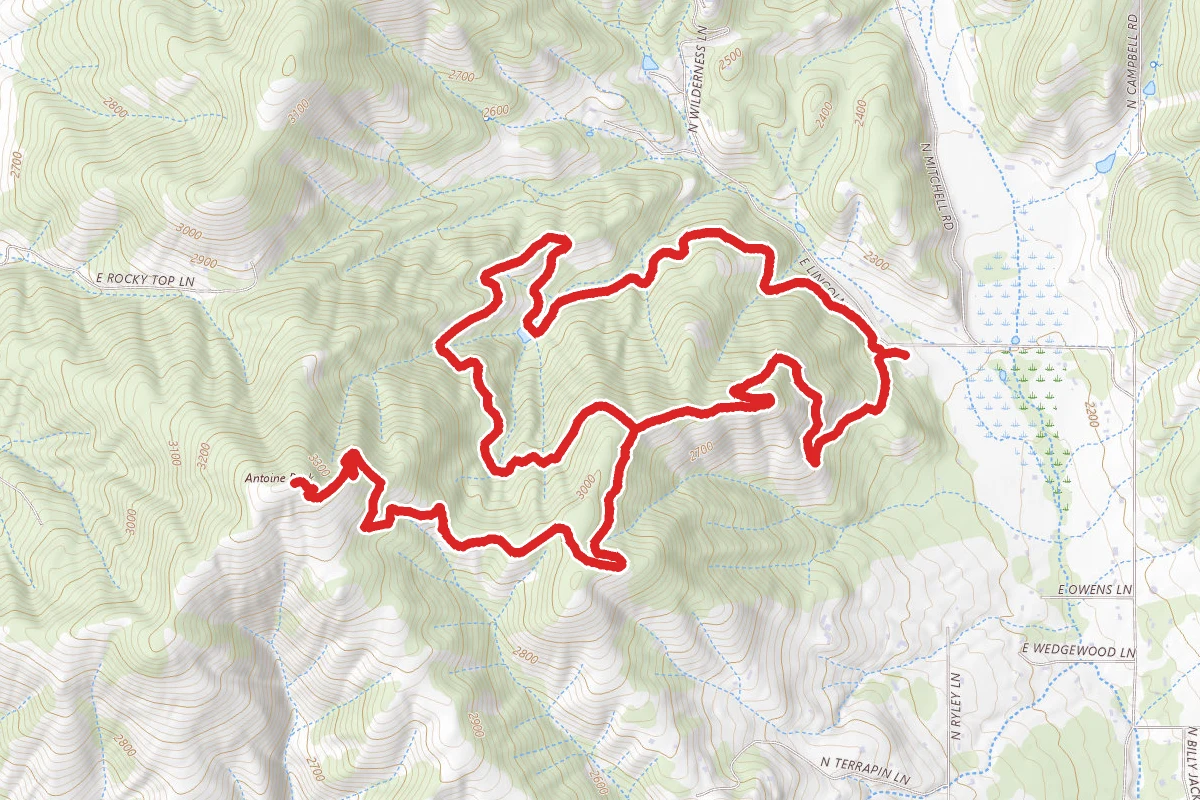 Antoine Peak Summit Loop from East Trailhead