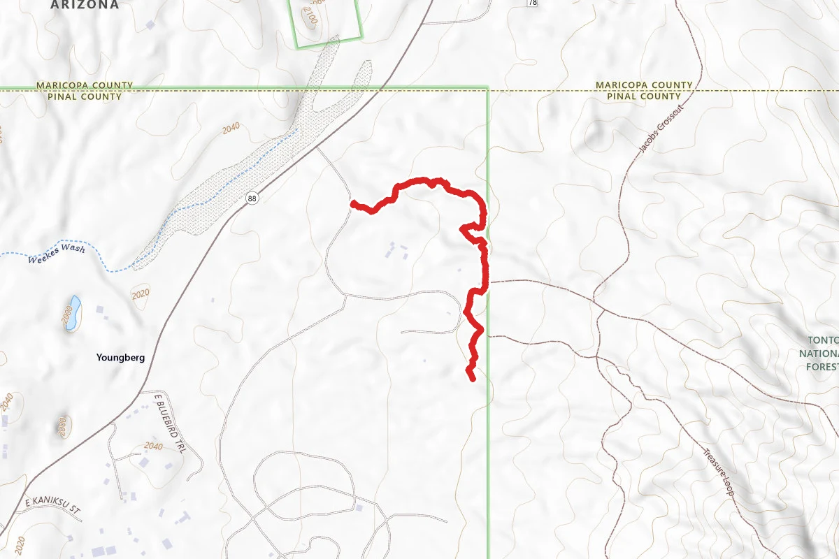 Mountain Bike Trail