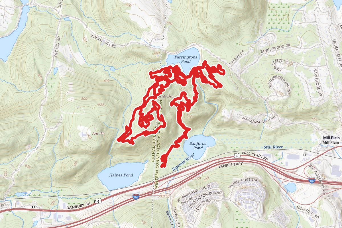 Farringtons Woods Trail