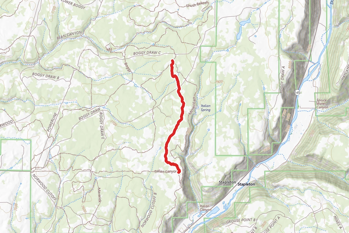 Mcneil East Trail