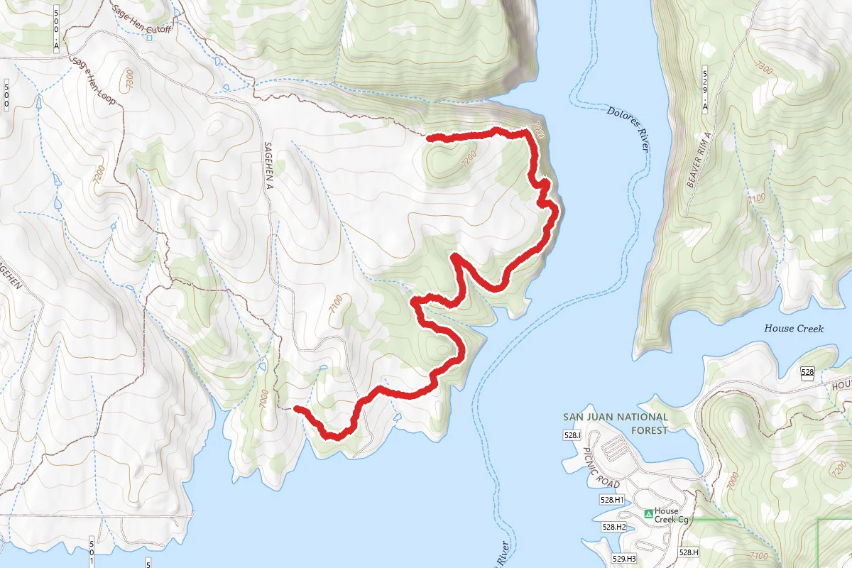 Sage Hen Loop