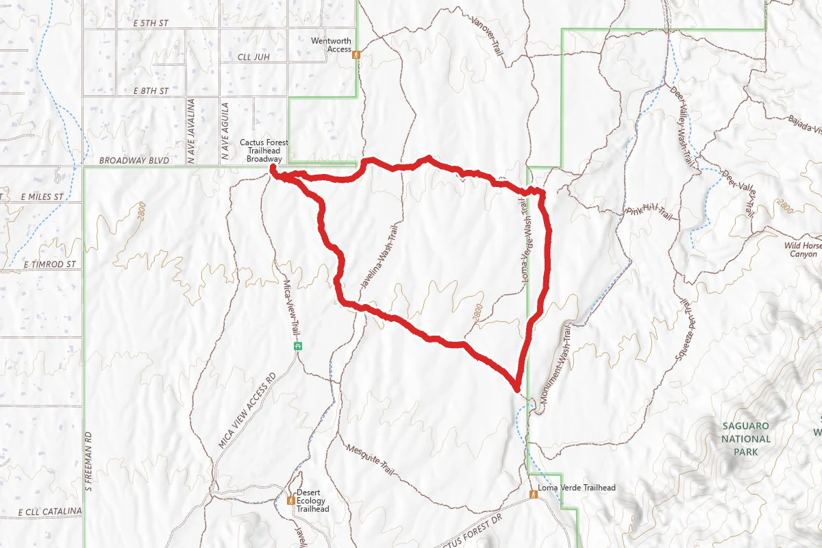 Pink Hill, Loma Verde, Cholla Trail, and Cactus Forest Loop