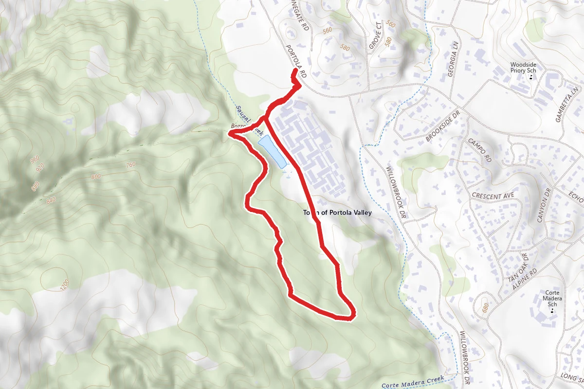 Sausal Pond Loop