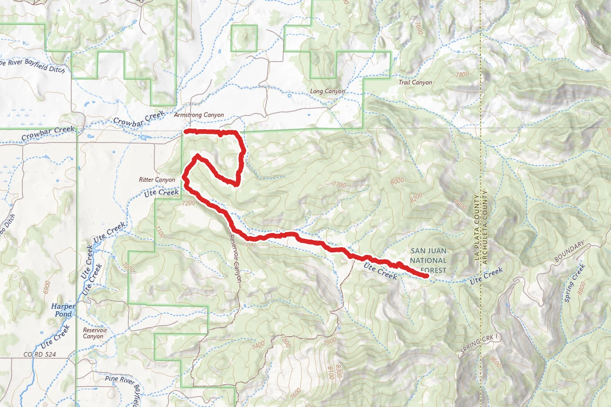 Ute Creek Trail
