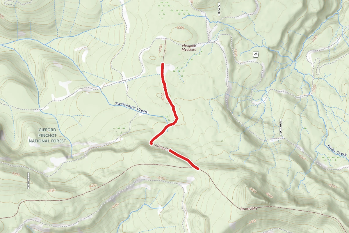 Mosquito Meadows