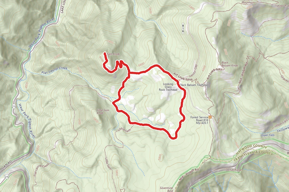 Sam Knob and Flat Laurel Creek Trail Loop