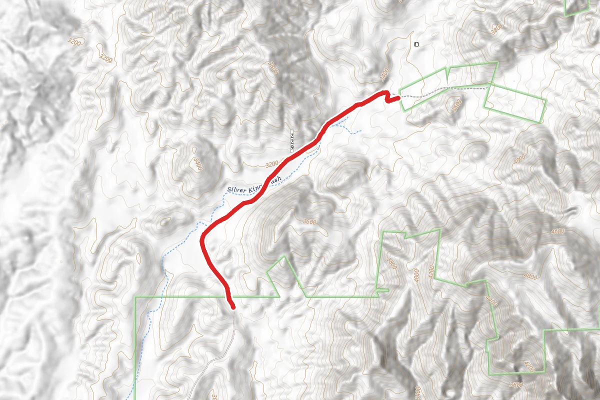 Silver King