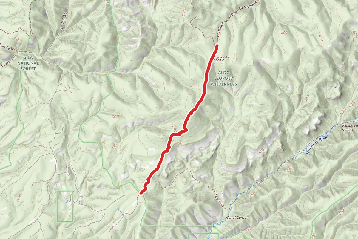 Cdt-Mimbres Access