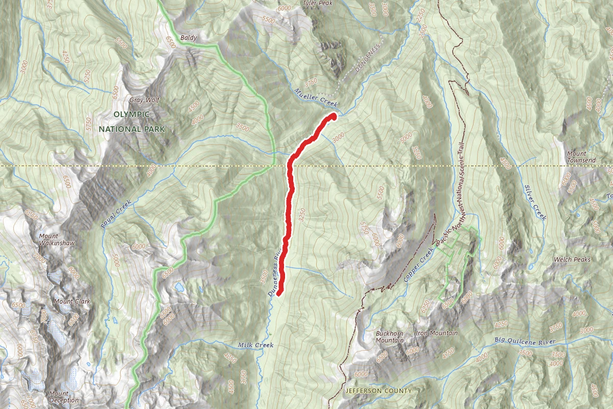 Upper Dungeness Trail to Handy Camp