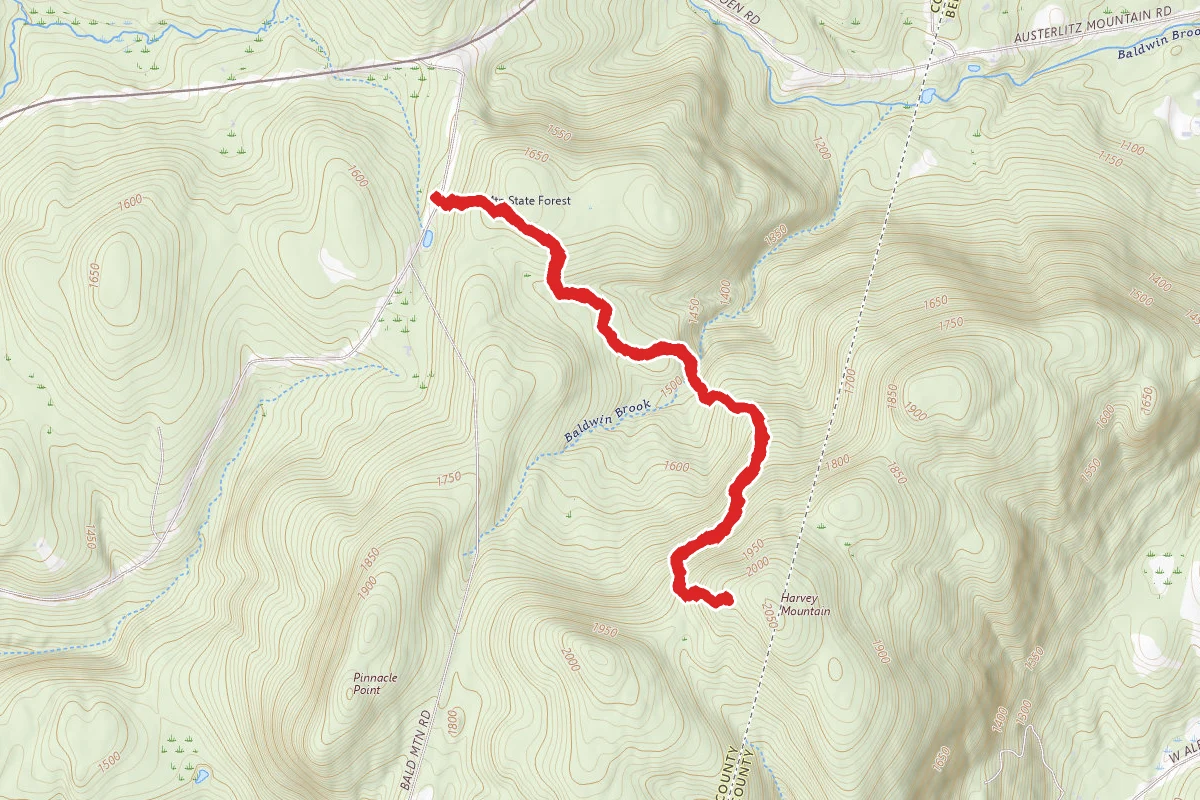 Harvey Mountain Trail