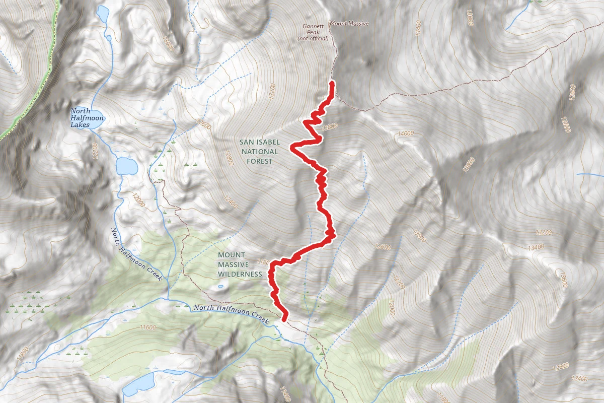 Mt. Massive/North Halfmoon Trail