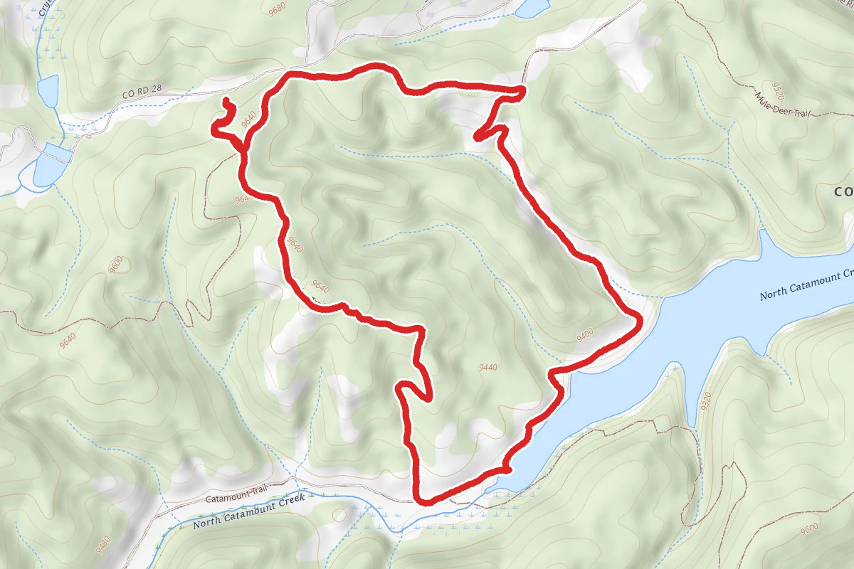 Ring The Peak and Limber Pines Trail