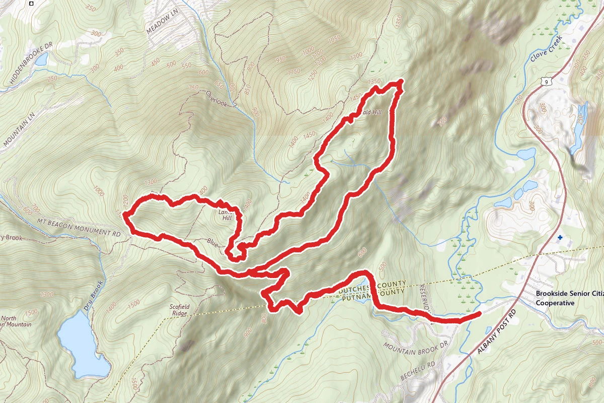 Bald Hill and Lambs Hill via Wilkinson Memorial Trail