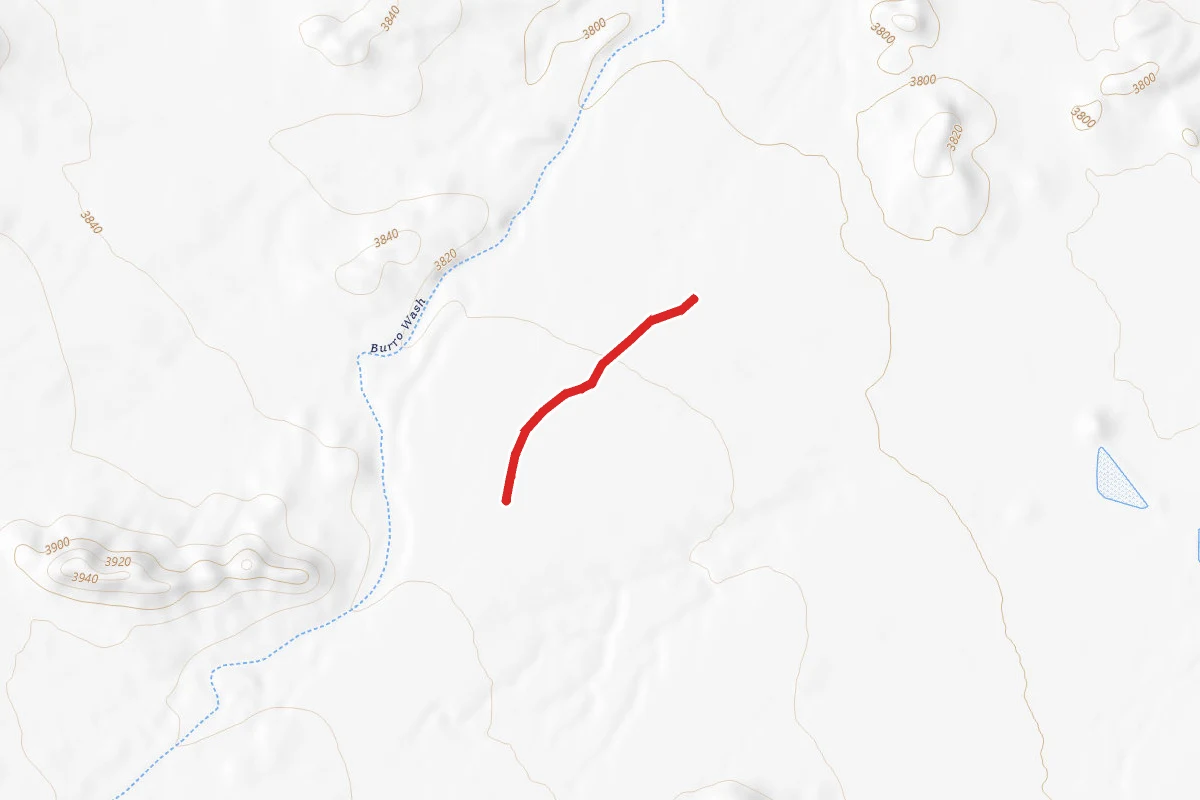 Duncan Loop