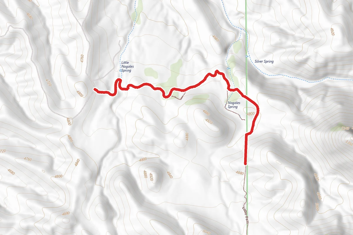 Lobo Pass