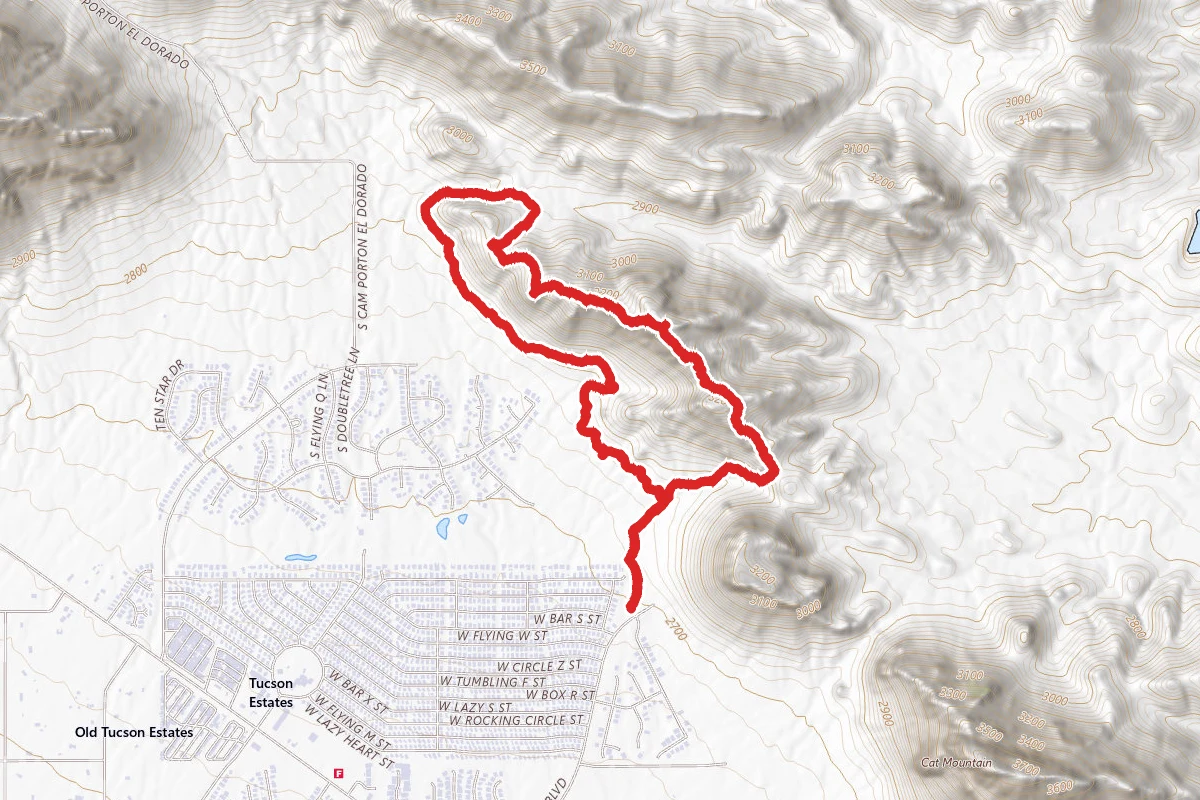 Bobcat Ridge and Starr Pass Trail Loop